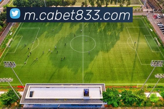 ca亚洲城APP 封面图